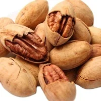 Raw Roasted Baked Salted Pecan Nuts with Shell Bags For Sale At Best Prices