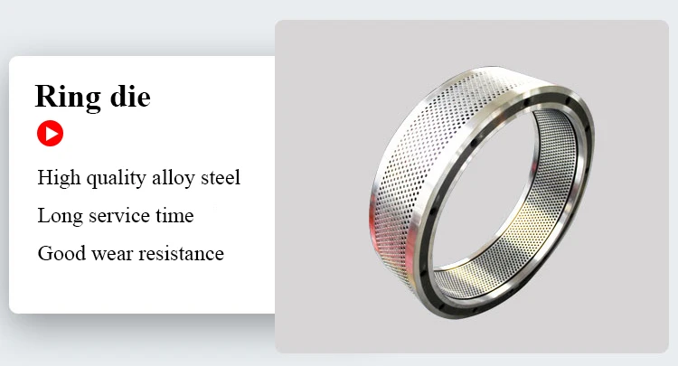 ring die details3.jpg