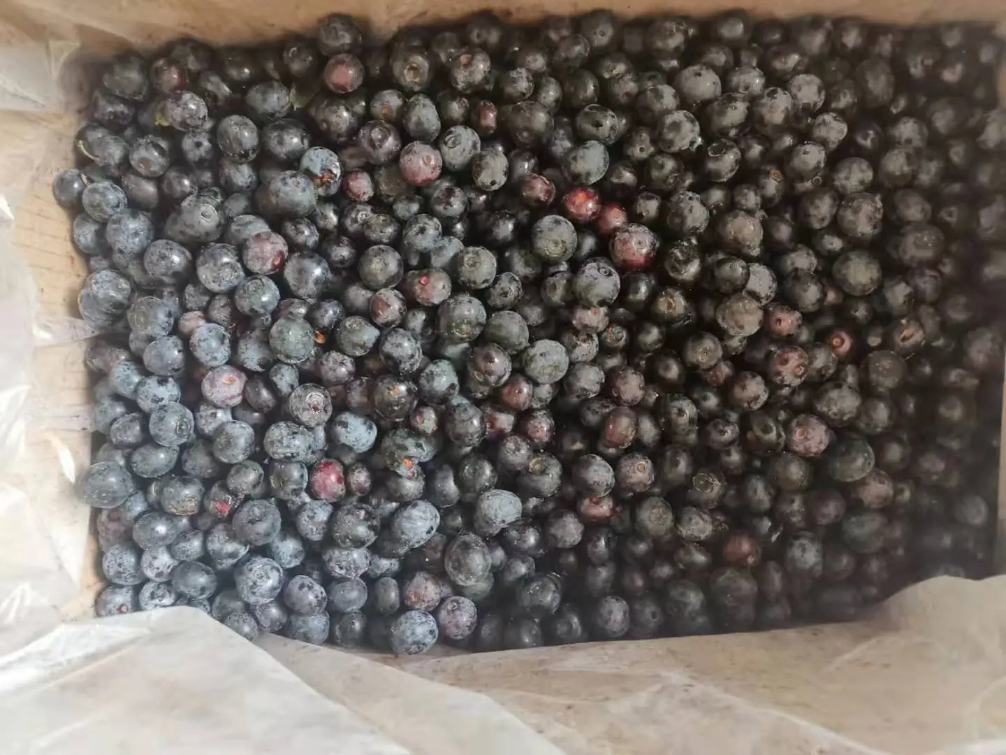 Замороженные фрукты свежий вкус IQF Замороженная черника с высоким