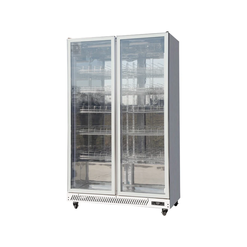 Single-Door 220V LED Light Beverage Refrigerator Glass Display Cooler for Restaurant and Hotel Use Cooling and Chiller Climate