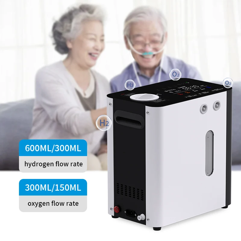 450ml hydrogen generator price H2 pem electrolyzer hho generator gas water electrolyzer hydrogen purified hydrogen