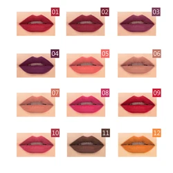 Pudaier famous brand vegan lip liner 12pcs/box 12 colors pencil lipstick set slim lip liner