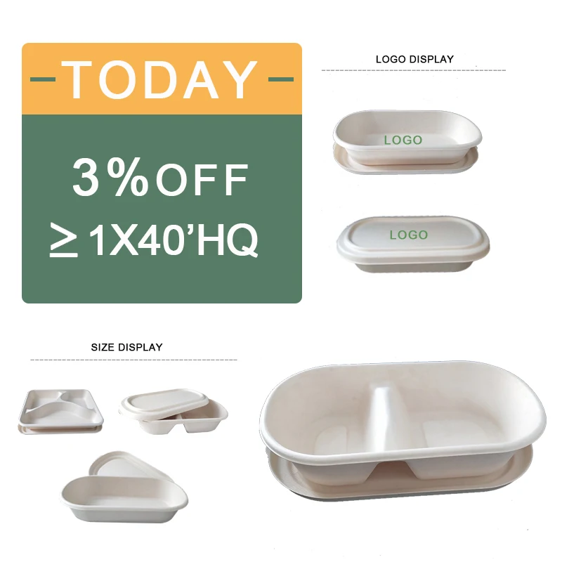Biodegradable food containers 800ml bagasse  disposable sugarcane Lunch Box