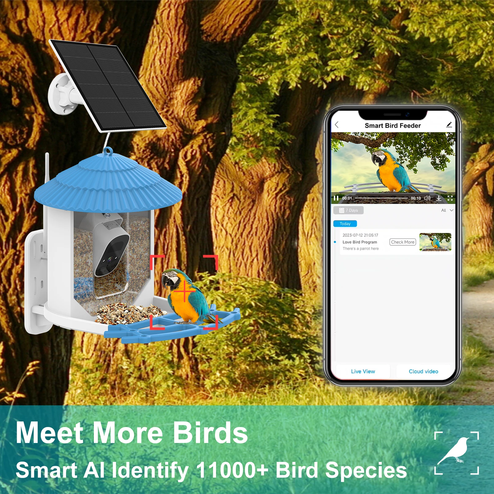 SMART BIRD FEEDER - Solar Powered Bird Feeder with 4MP Camera and Motion Detection
