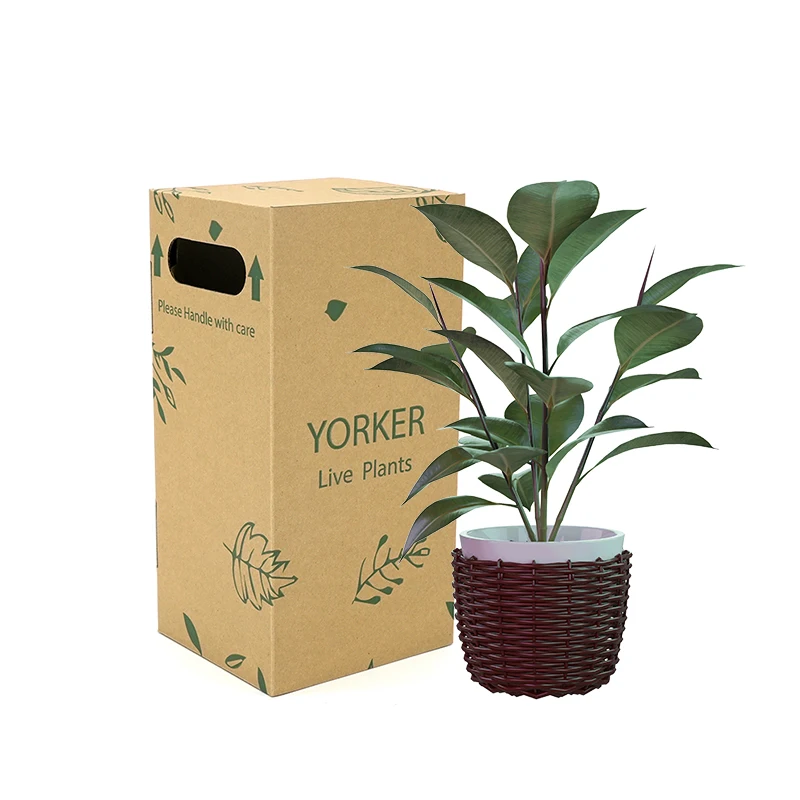 Wholesale Live Potted Plant Packing Box Durable Wall Kraft Paper Corrugated Cardboard Plant Shipping Box for Transportation