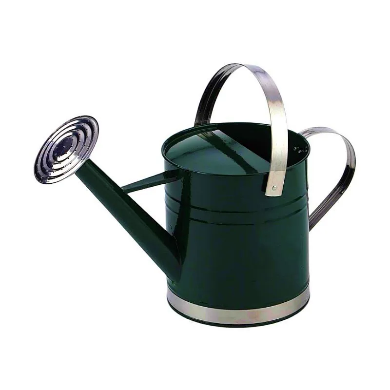 Manufacture Wholesale 1.8 5 6 L 2 gallon Long Spout Garden Water Cans Metal Watering Can For Outdoor  agricultural Plants