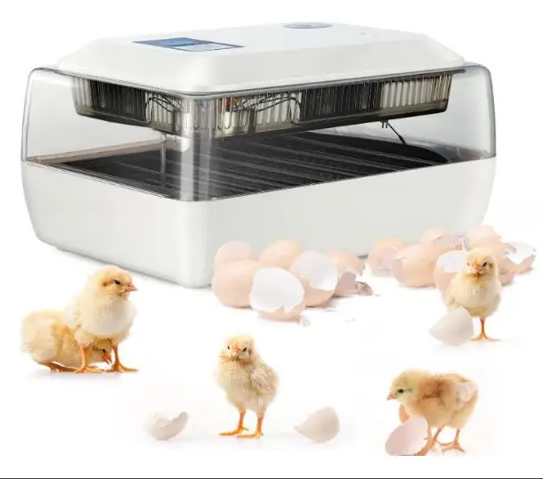 Mini egg Incubator JANOEL 24 Fully automatic 24 chicken egg Hatcher Warmer Small Poultry incubator