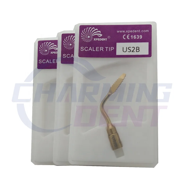 Dental instrument ultrasonic piezo bone surgery machine tips / Piezosurgery tips micro saw ultrasurgery insert