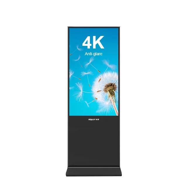 
Really Manufacturer 55inch Windows system Digital Photo Booth Kiosk 