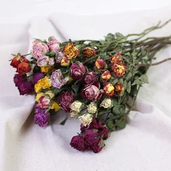 UKIQUEEN Wholesale Multi-headed Rose Dry Flower Bouquet Dried Flowers Roses Flowers for  home and wedding decoration