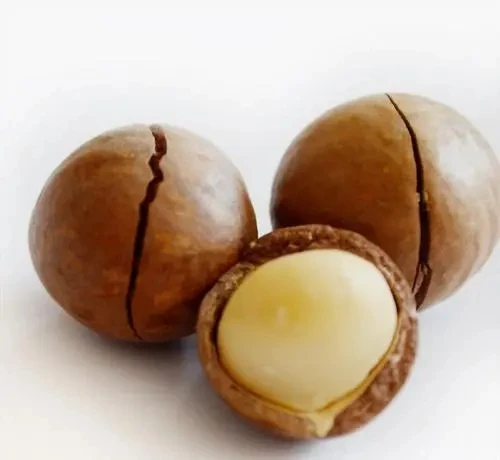 Macadamia Nuts with Best Quality Cheap Price and Delicious Without a shell Chinese Macadamia Nuts