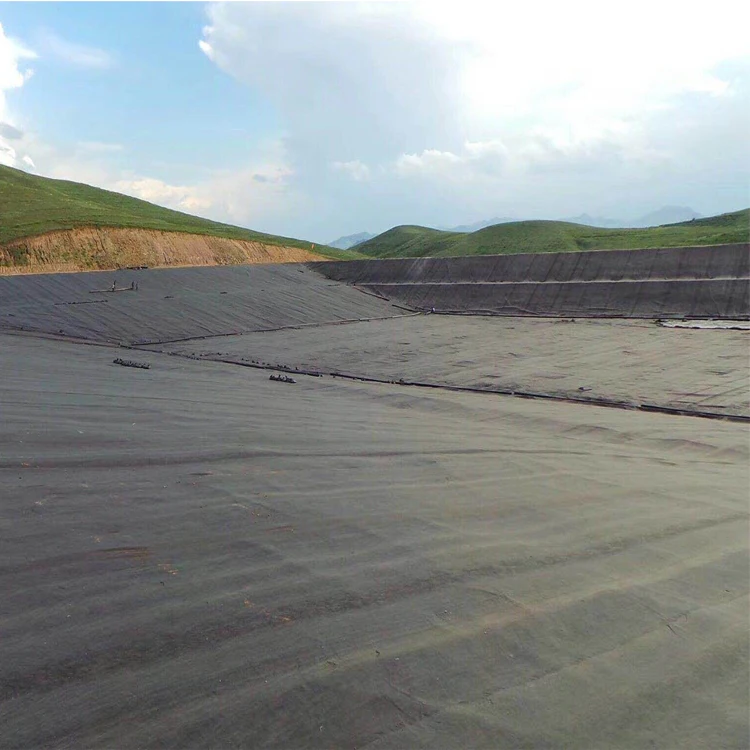 China supplier high quality HDPE geomembrane sheet hdpe pond liner