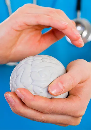 Factory Direct Sale Medical Antistress Slow Rising Pu Foam Brain Shape Stress Ball For Gifts And Premiums