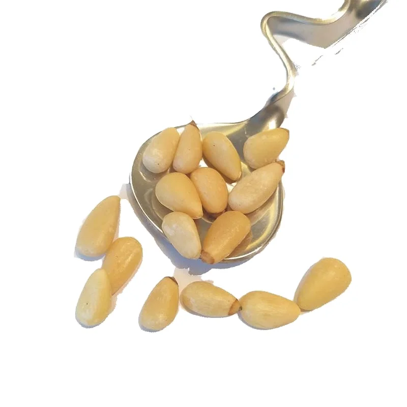 Processing plant best quality good prices bulk package pine nut seed