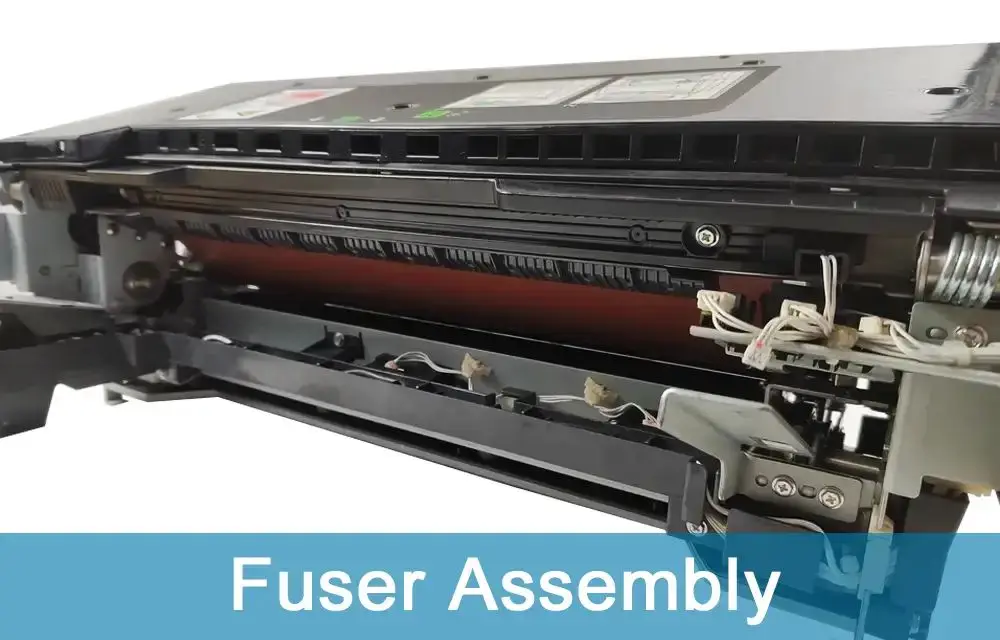 Fuser Assembly