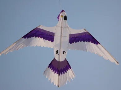 Parrot kite flying bird toys