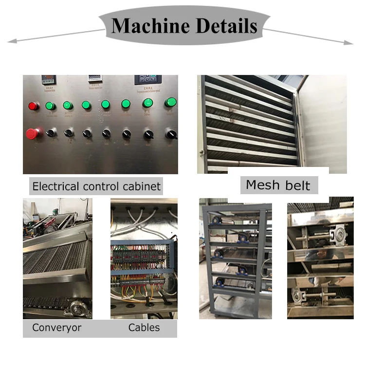Frrut Vegetable belt dryer machine vacuum mesh belt dryer drying machine