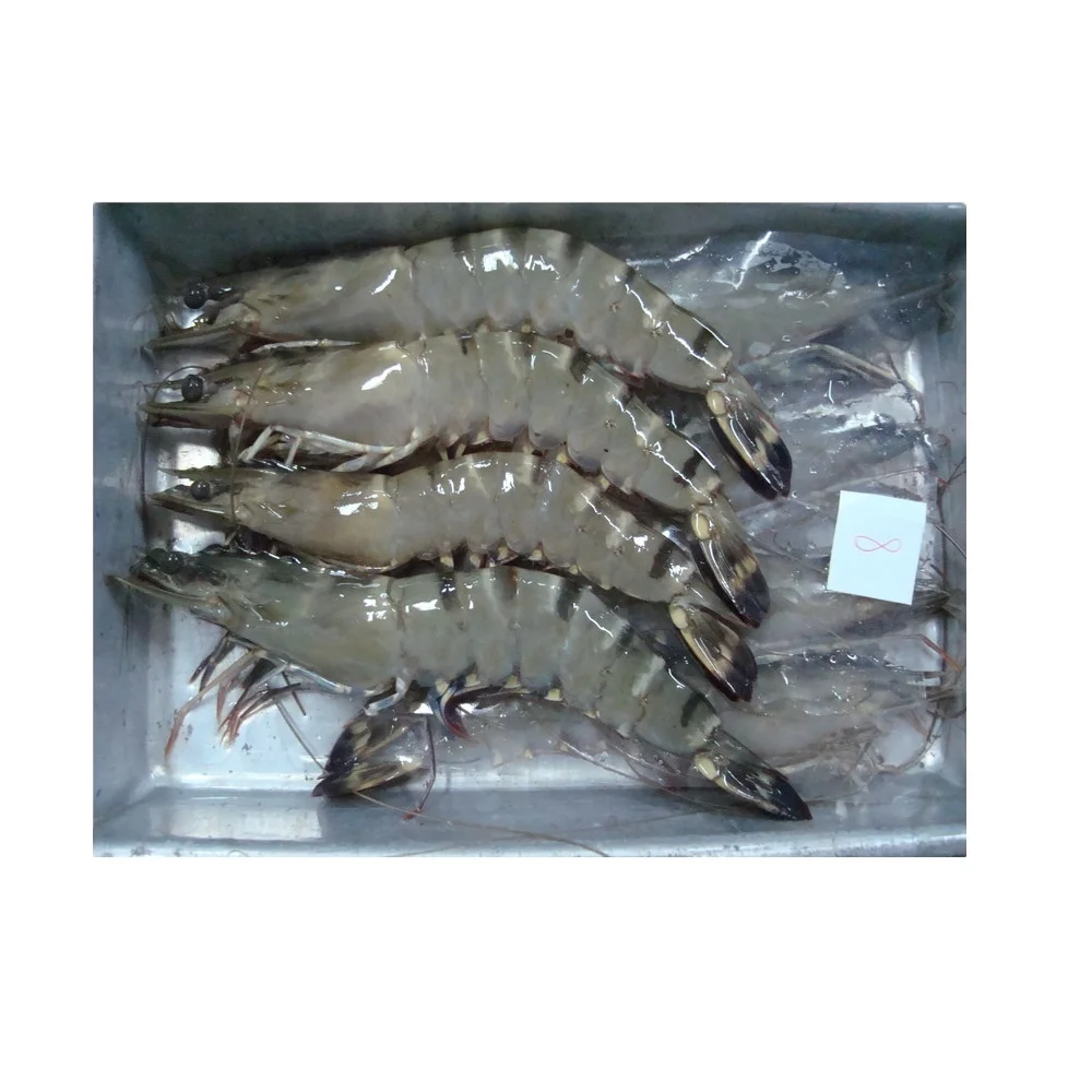 
 Необработанный свежий замороженный Срок годности 24 месяца в упаковке и коробке замороженная НЕОБРАБОТАННАЯ голова на корпусе черного тигра  