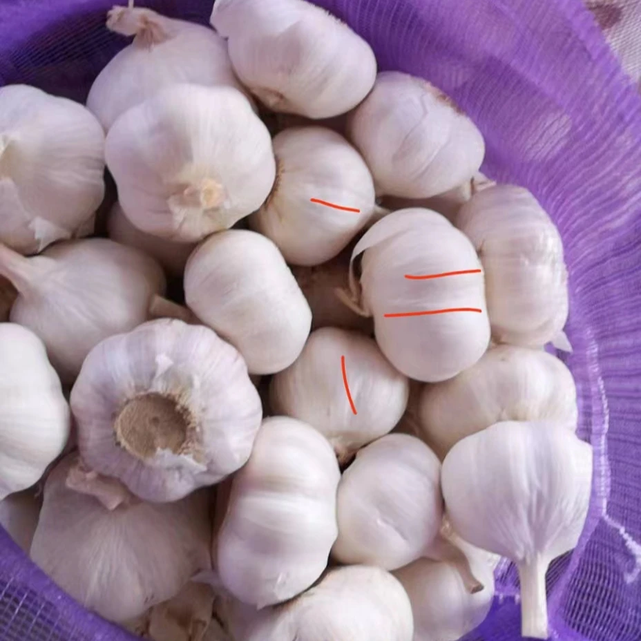 Чистый белый чеснок 5,0 см