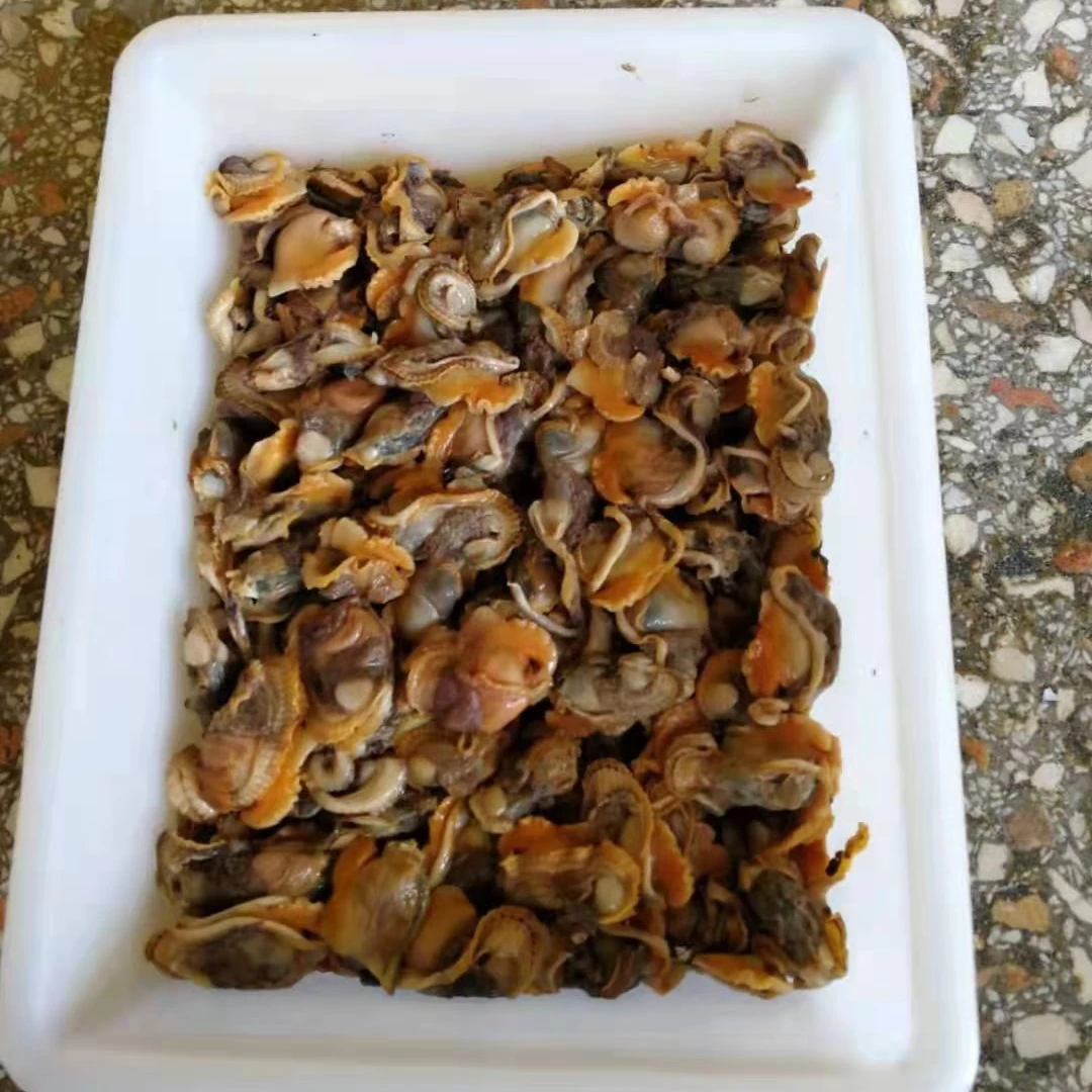 Frozen baby clam meats
