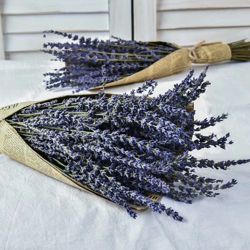 wholesale beautiful dried lavender for home decoration