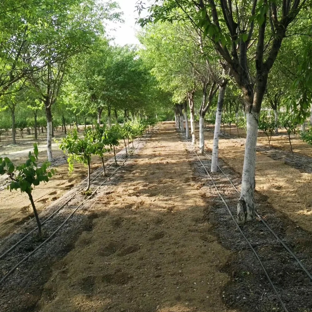 PE patch Water saving other watering drip irrigation tape
