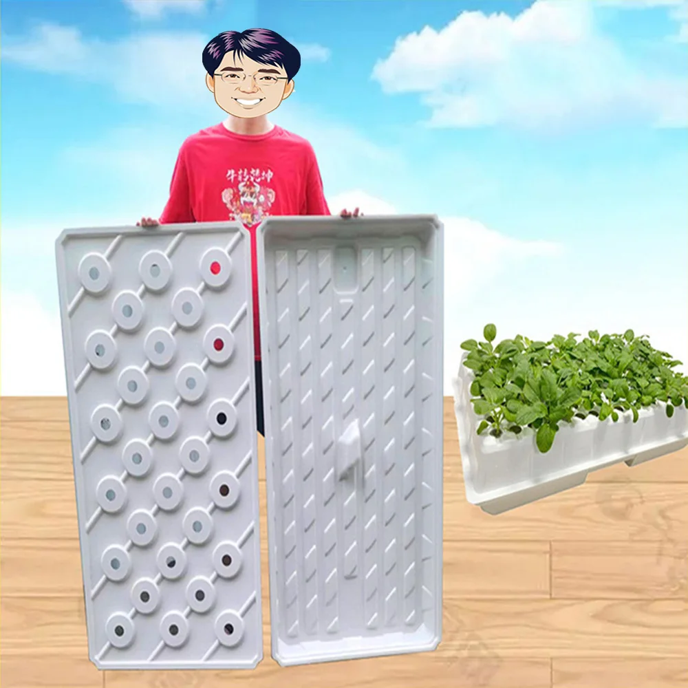 Heavy Duty 1020 Plastic Seed Tray Polystyrene Flat Seeding Microgreens Trays for Greenhouse for Rice Garden Hydroponics