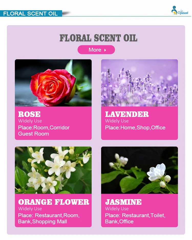 Mint Daily Essence Flavor Home Fragrance Scent Food Daily Chemical