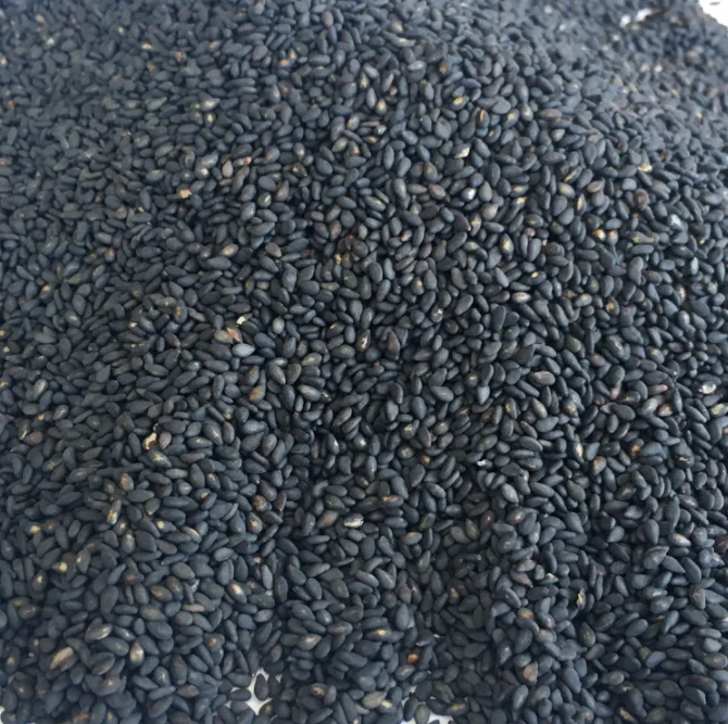 Hot selling spice seasoning sesame high quality black sesame seeds Black/white sesame supply