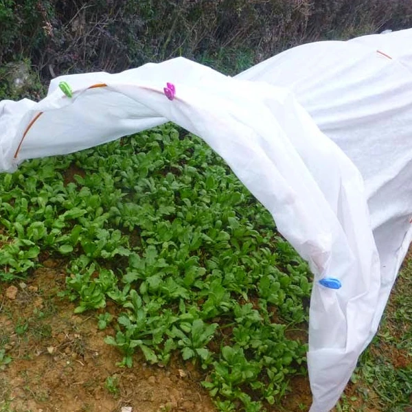 Polypropylene Nonwoven Plant Protection Blankets Customized Pp Spun-bond Non Woven Cover Agricultural Frost Fleece