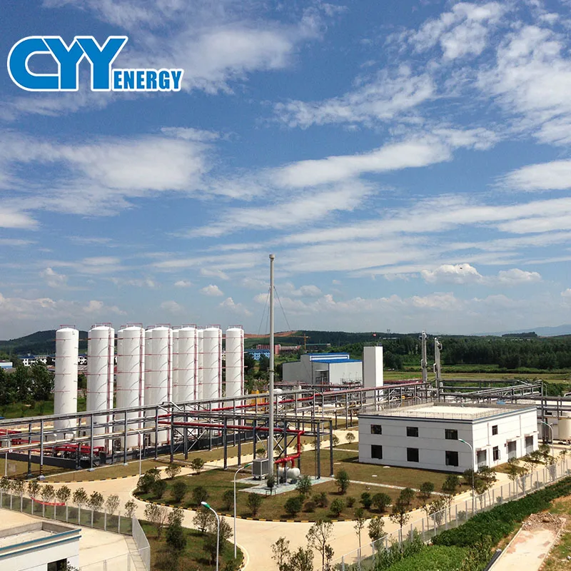 CYY Energy LNG Gas Plant High efficiency low power consumption
