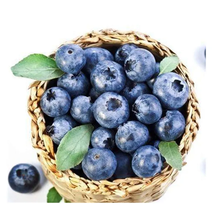 
Superior export quality frozen fruit frozen blueberry prices from China factory 