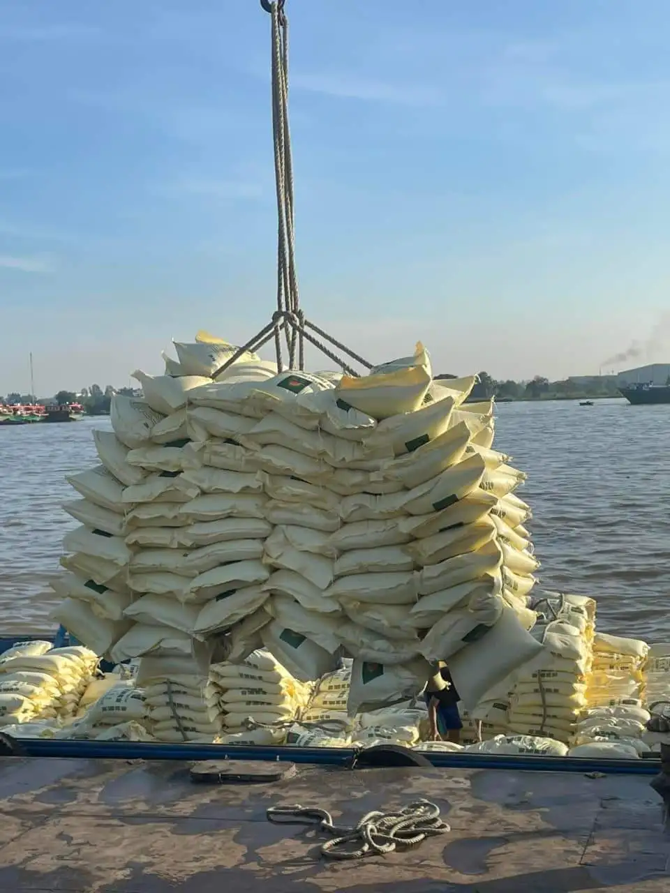 wholesale Rice st25 Vietnamese rice Max Dried- Soft White Color Origin Type Fresh Grain Vietnamese long grain  rice