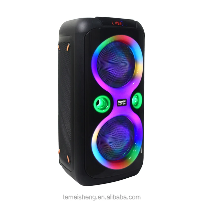 Dual 8 Inch Portable Karaoke Trolley Speaker Battery Powered Sound System