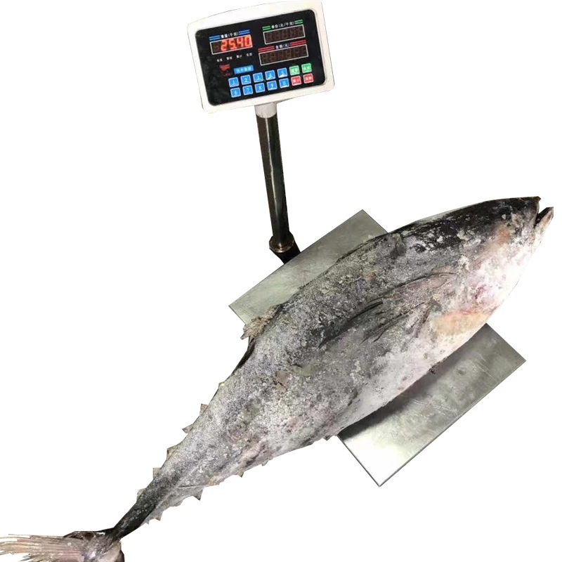 Китайский замороженный желтый тунец Iqf, цена