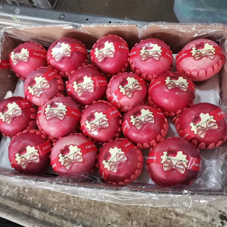 Wholesale  fresh fruits Yellow Golden red Fuji apples Pink lady apple