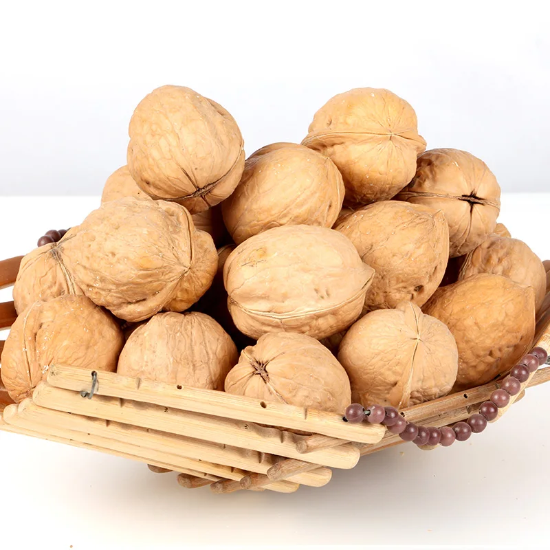  AGOLYN Top Grade Thin Skin Raw Walnuts with Shell Packaging Food Organic Feature Origin Type