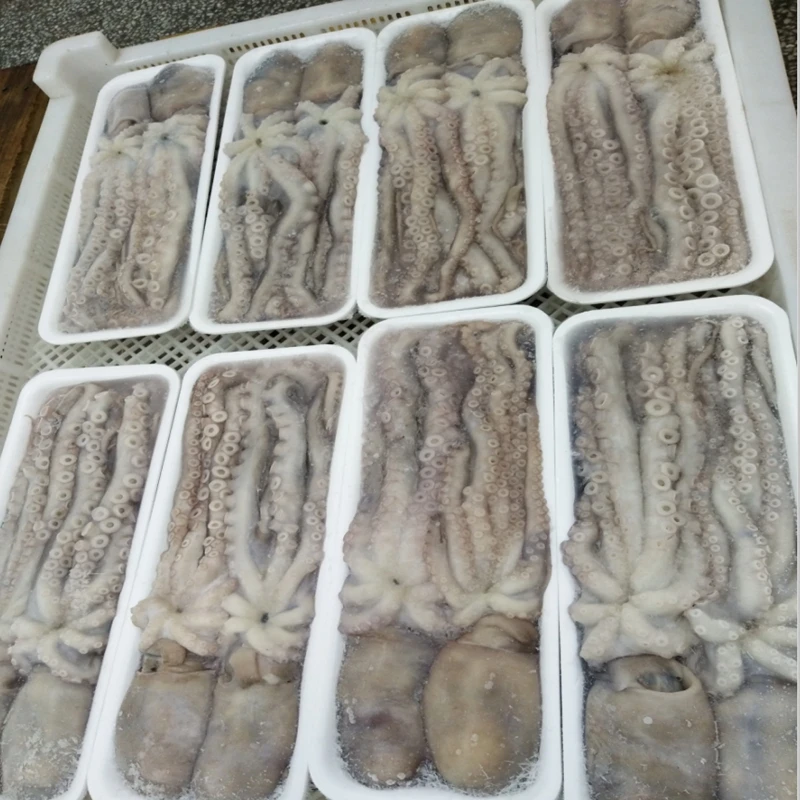 Seafood Tray Octopus Delicious Cheap Price Frozen Octopus For Sale