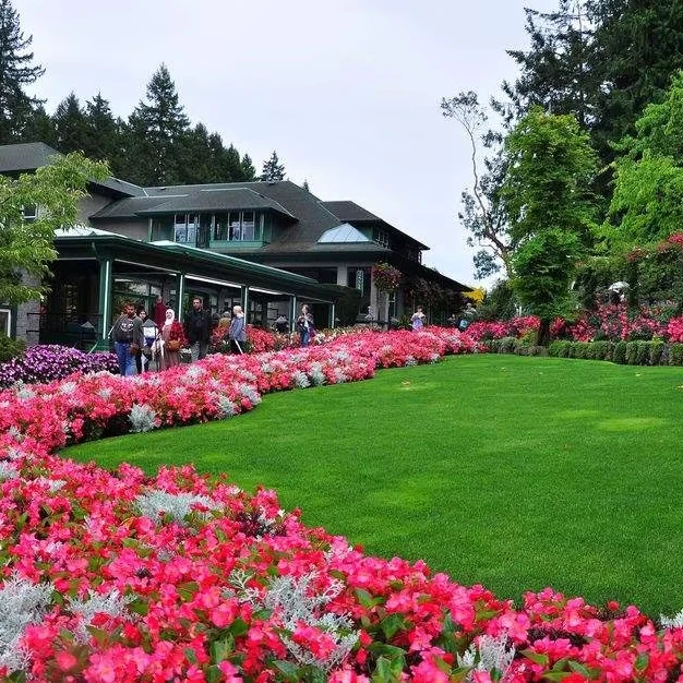 UV Resistant Forever Luxury Design Outdoor Green Grass Mat Artificial Grass