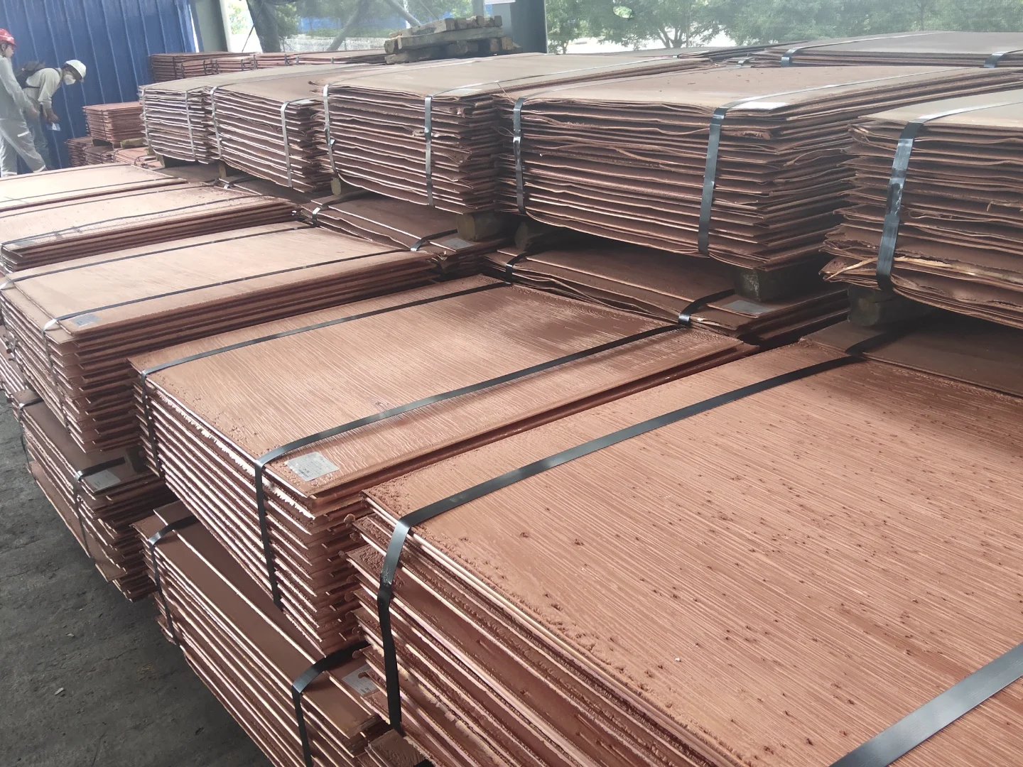 Standard copper cathode LME 99.99% Copper Cathode Pure