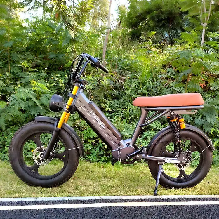 20*4.0 750W 500W Big Power Fat Tire Electric City E Bike/snow Bike/electric Bicycle With CE