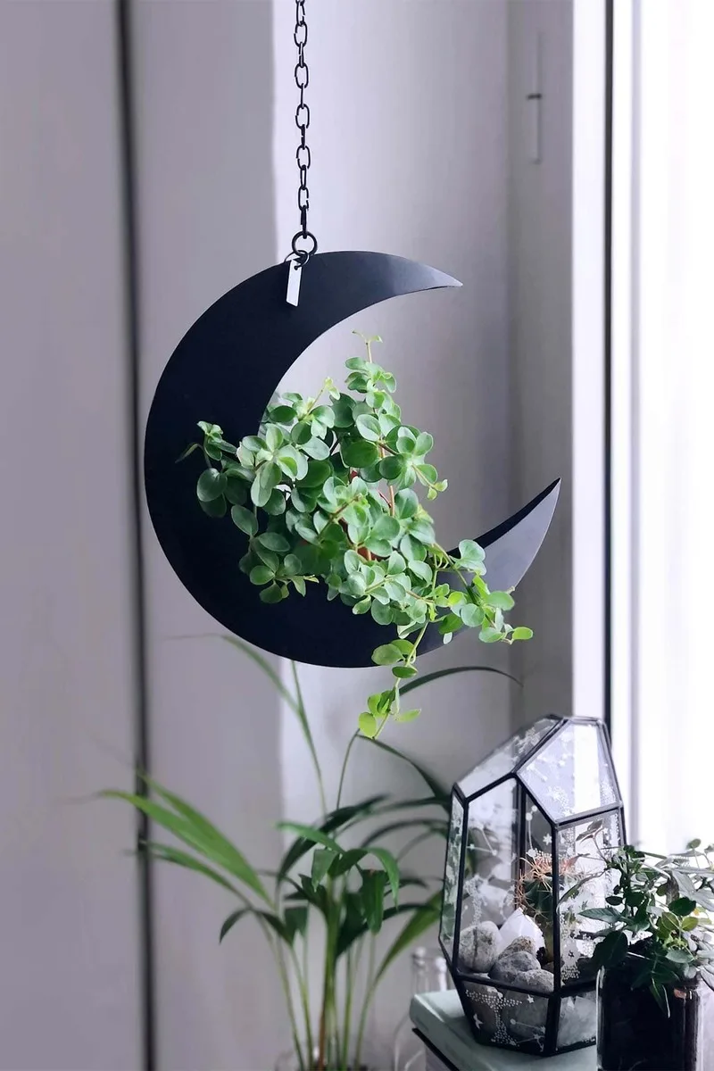 Decorative Metal Iron Crescent Hanging Planter Black Moon Planter Pot with Artificial Plants