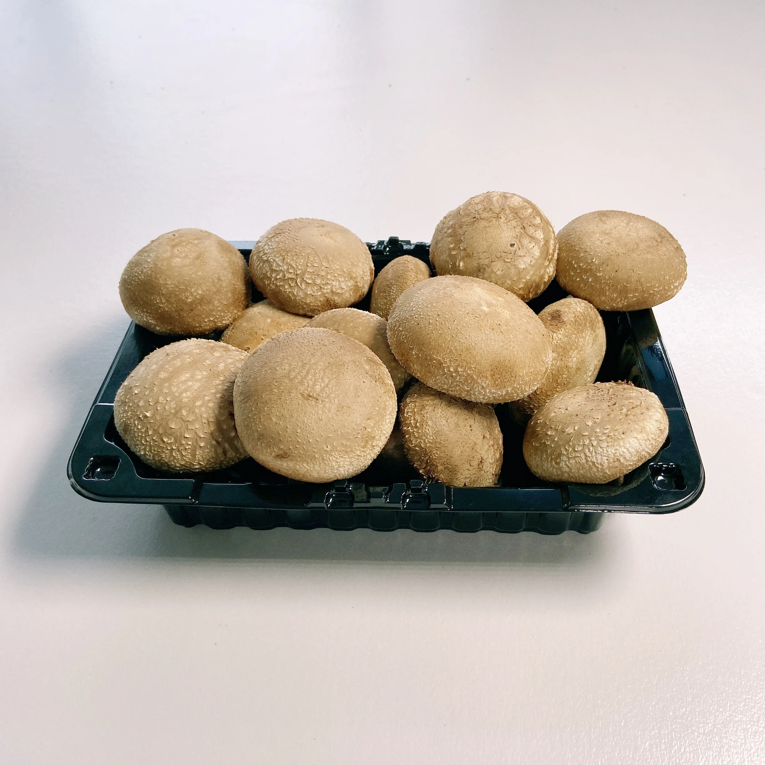 Hot Sale Factory Price Selected Good Fresh Shiitake Mushroom