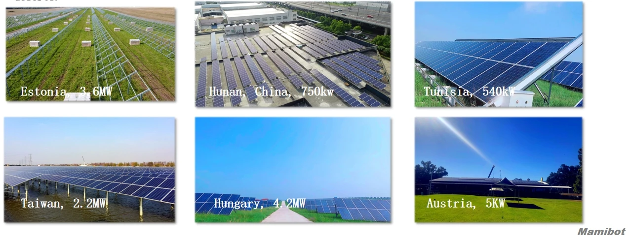 project cases 2024.png