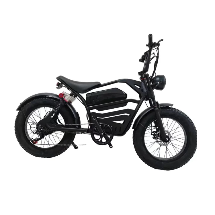 Hot Sales New Fat Tire 20' 7 Speed E bike 350W 500W Retro Enduro E-Bike Electric Bike Adult Steal TH Bomber Mountain Snow Bike