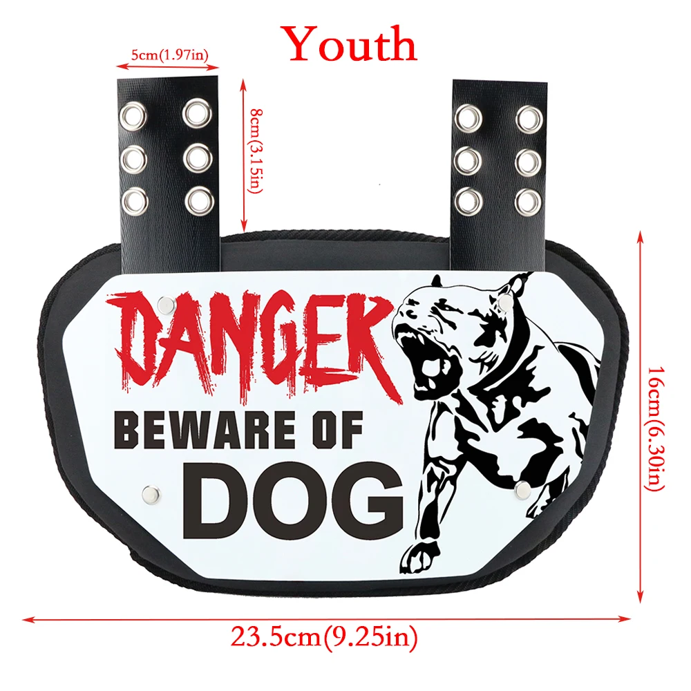 New Design cheap American Football Back Plate Suitable For Shoulder Pads Lower Back Pads Adult Backplate