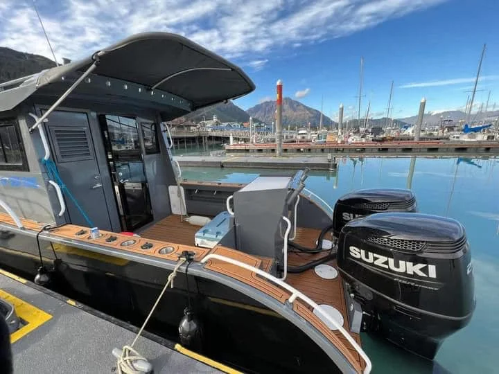 Sea King Sea Fishing Boat New Design 9m-11m Aluminum Plate Lifestyle Boat