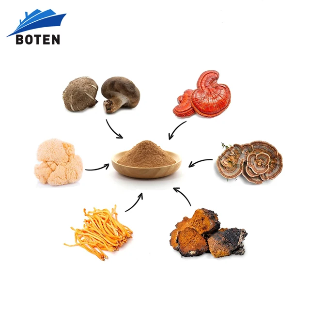 100% Natural Organic Agaricus Bisporus Murrill Mushroom Extract Powder Agaricus Blazei Extract