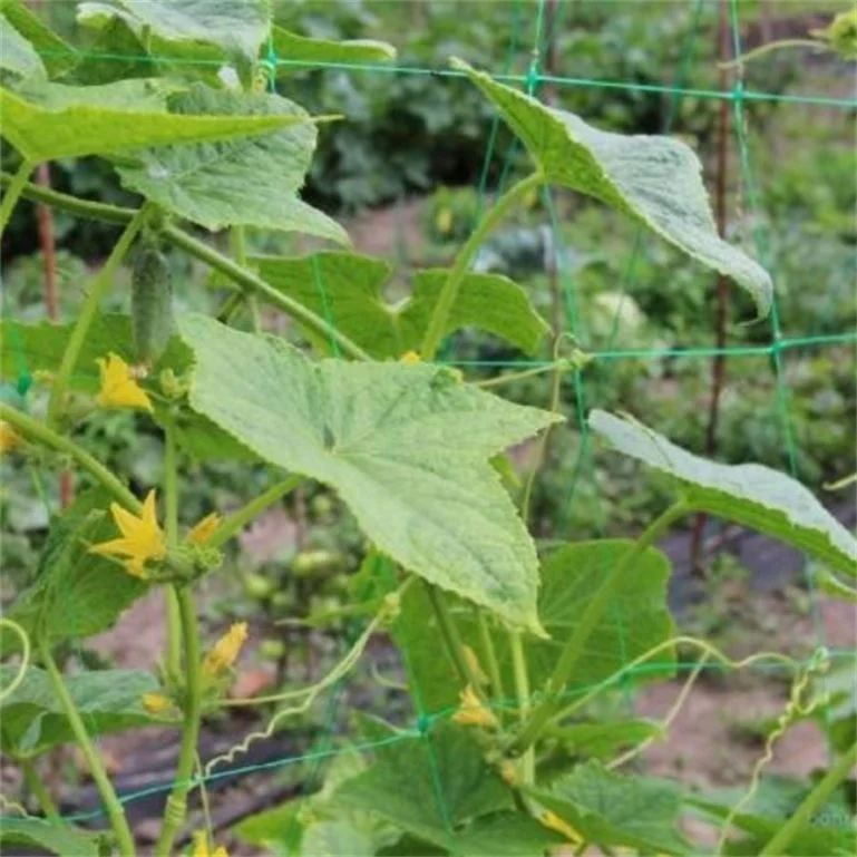 #2023 new products TN-1130 Factory Direct Cucumber Plant Support Net Climbing