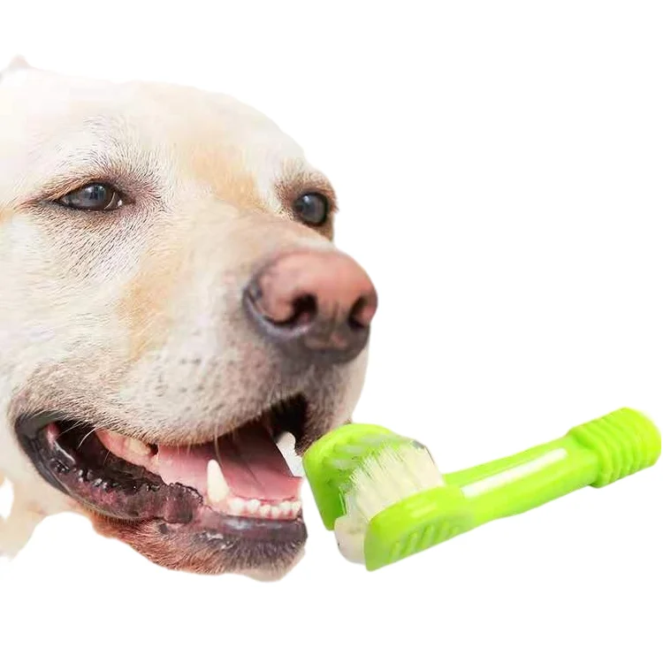 Pet tooth brush quality Tooth brush for dog